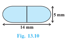 Page 244 Chapter 13 Class 10th Non-Rationalised NCERT 2019-20
